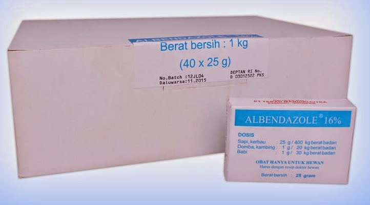 How to Buy Albendazole Online in 2023: The Only Guide You Need