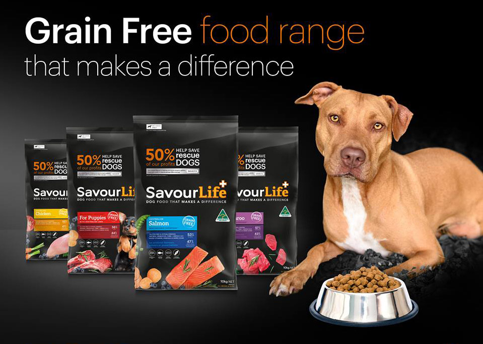 Looking to Buy Evolve Dog Food Near You. Check Out 10 Must-Know Facts Before Purchasing