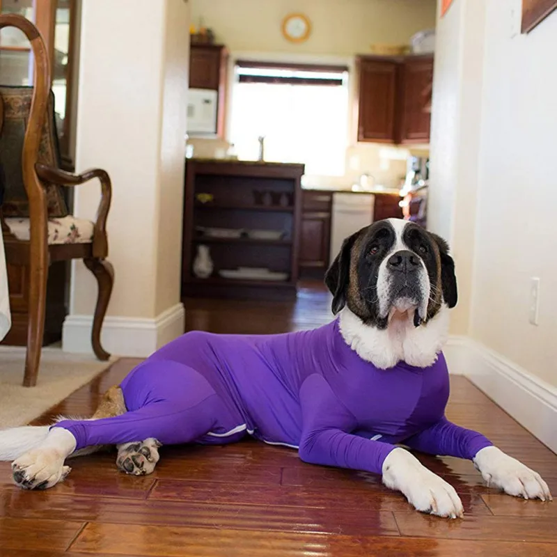 Comfort Your Dog After Surgery: The Top 10 Dog Onesies