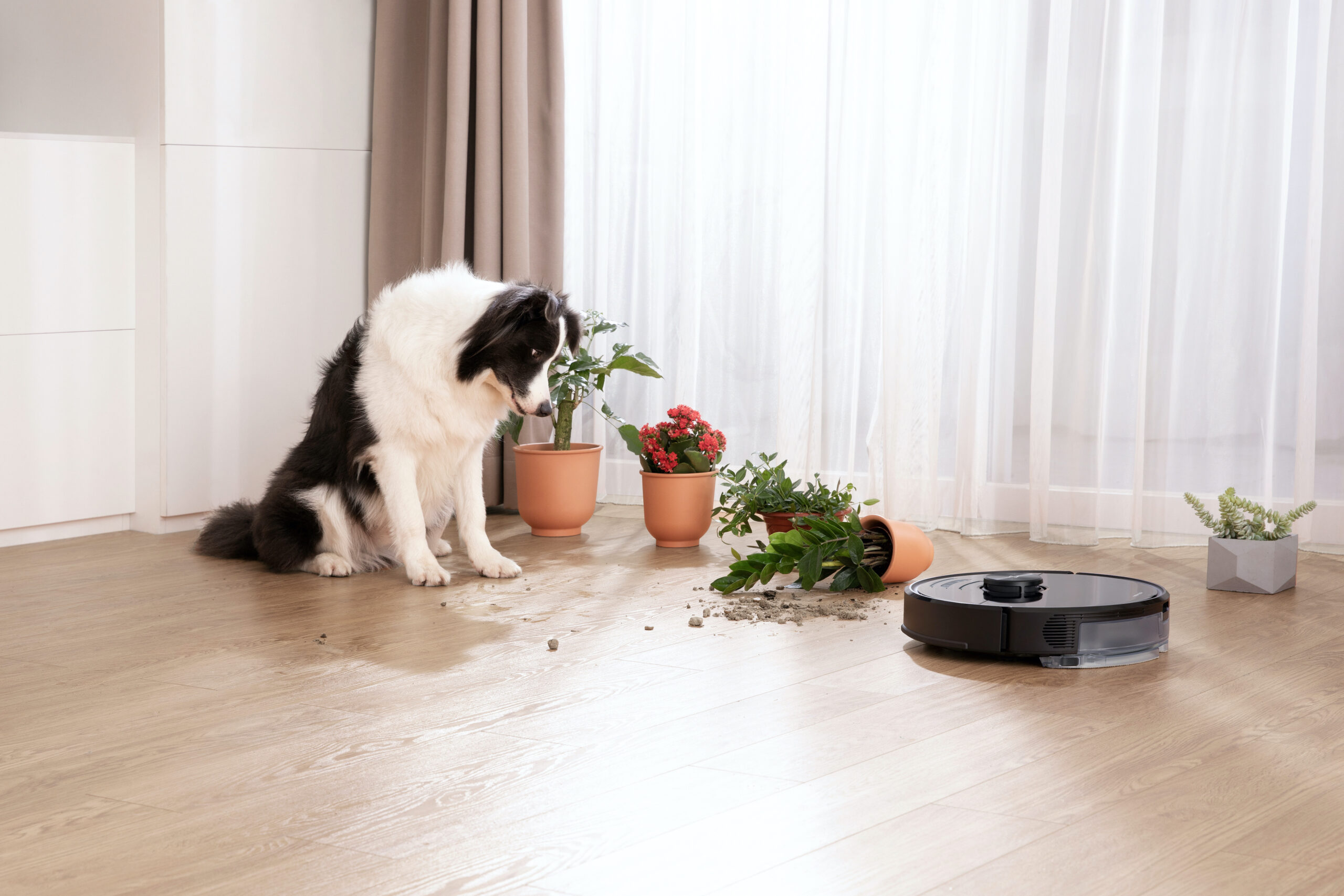Looking to Buy The Best Robot Vacuum For Pets. Here Are The Top 10 Bobsweep Models You Should Consider