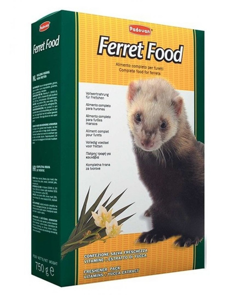 Looking to Buy Ferret Food and Supplies. This 2023 Guide Has You Covered