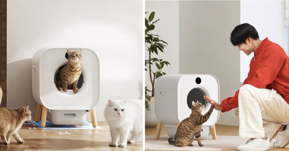 Build a Double Decker Litter Box: Make Use of Vertical Space