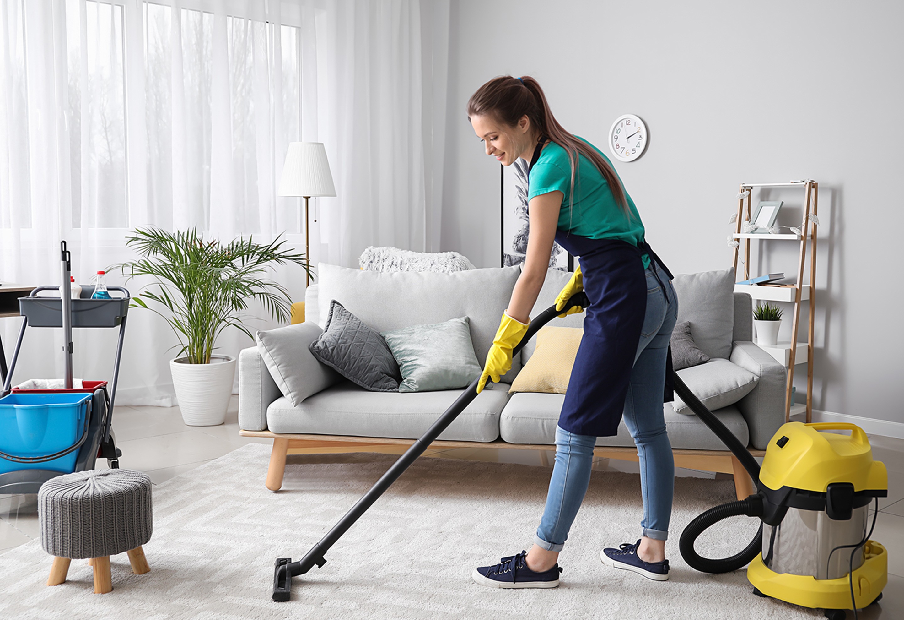 Boost Home Cleaning Power: Discover Top Floor & Carpet Solutions