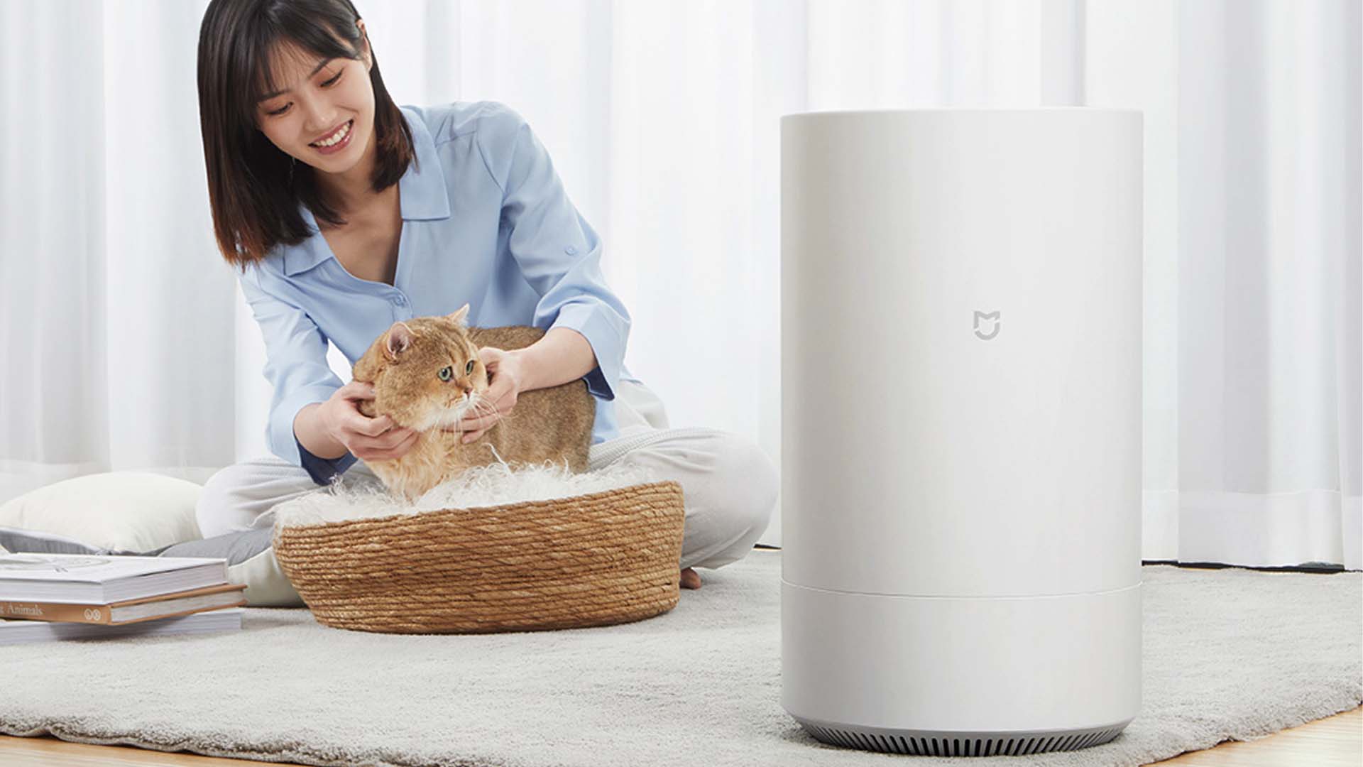 Need Humidity Control at Home All Winter. Is This Smart Humidifier the Answer
