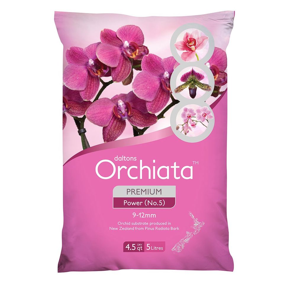 Looking to Buy Orchiata Bark. Find These 10 Things Out First