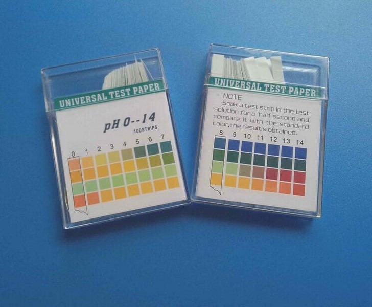 Looking to Buy Evencare G2 Test Strips. 6 Things You Need to Know