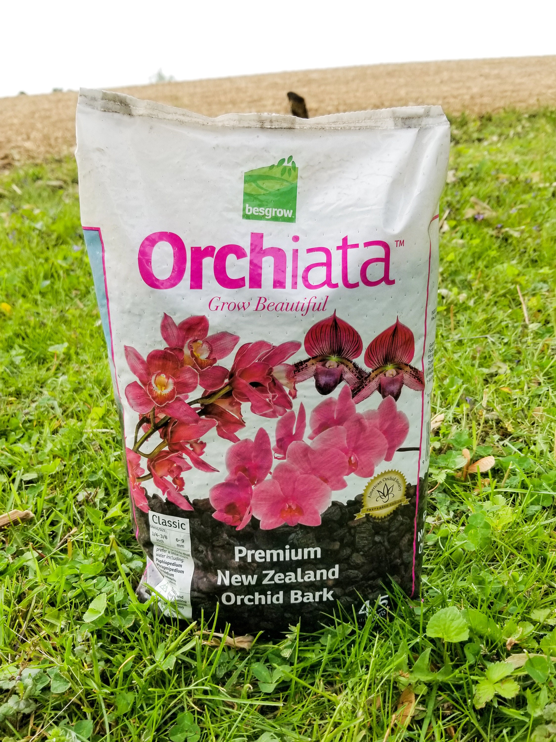 Looking to Buy Orchiata Bark. Find These 10 Things Out First
