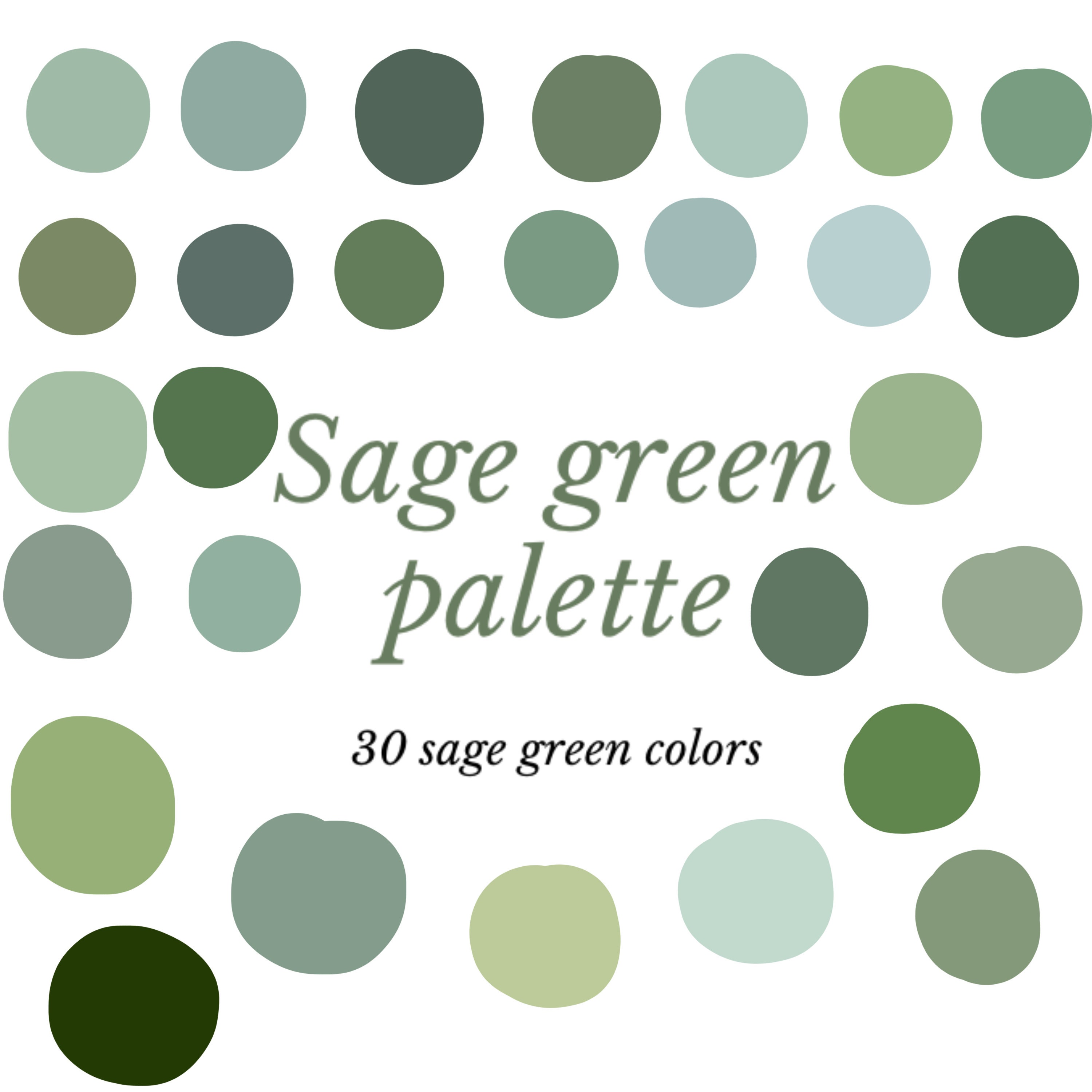Looking to Buy Sage Green Balloons This Year. Here are 10 Key Things to Know Before You Buy