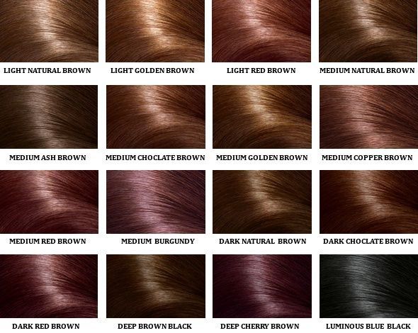 From Ashy Brown to Golden Brown: How Can I Get That Coveted 6bb Hair Color