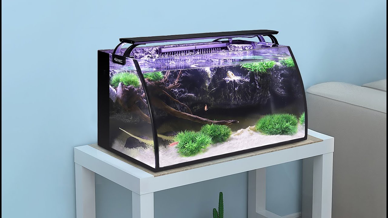 Looking to Buy The Best 10 Gallon Aquarium Kit. Read This First