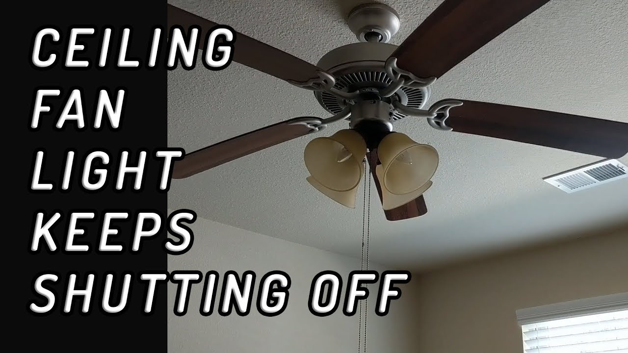 Need A New Ceiling Fan This Year. Discover The Camrose For Your Home