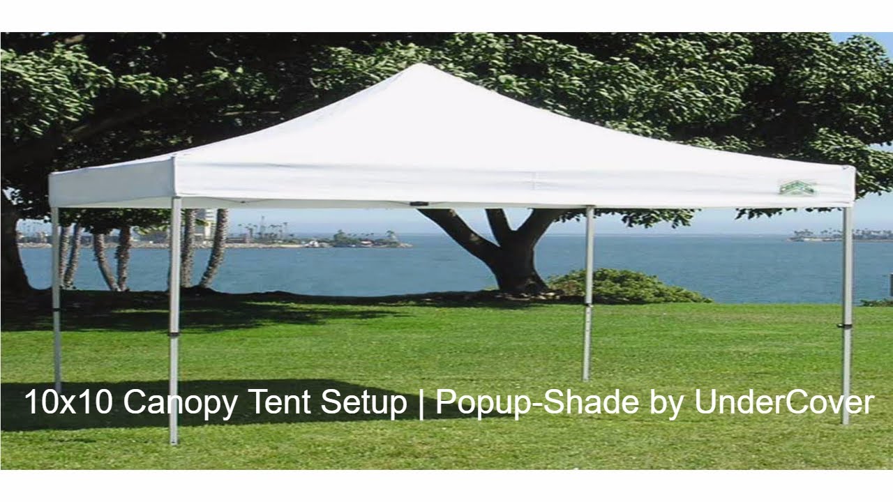 Need Shade for Your Next Event. Should You Get a Strongway Canopy