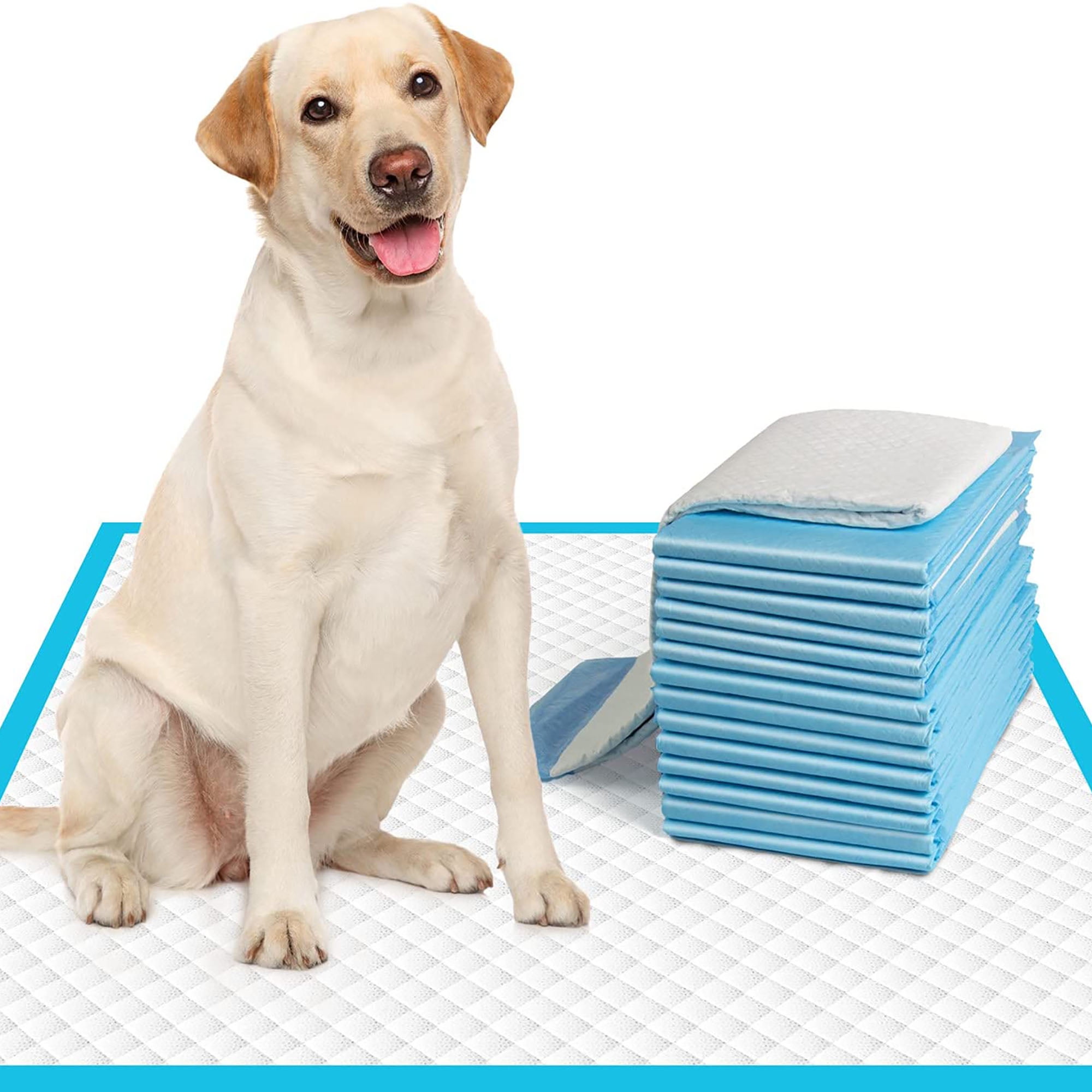 Are These The Best Dog Potty Pads: How 500 23x36 Puppy Pads Changed My Life