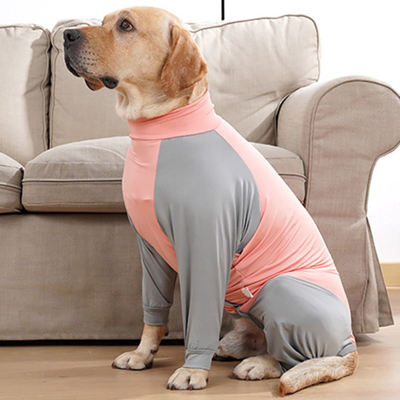 Comfort Your Dog After Surgery: The Top 10 Dog Onesies