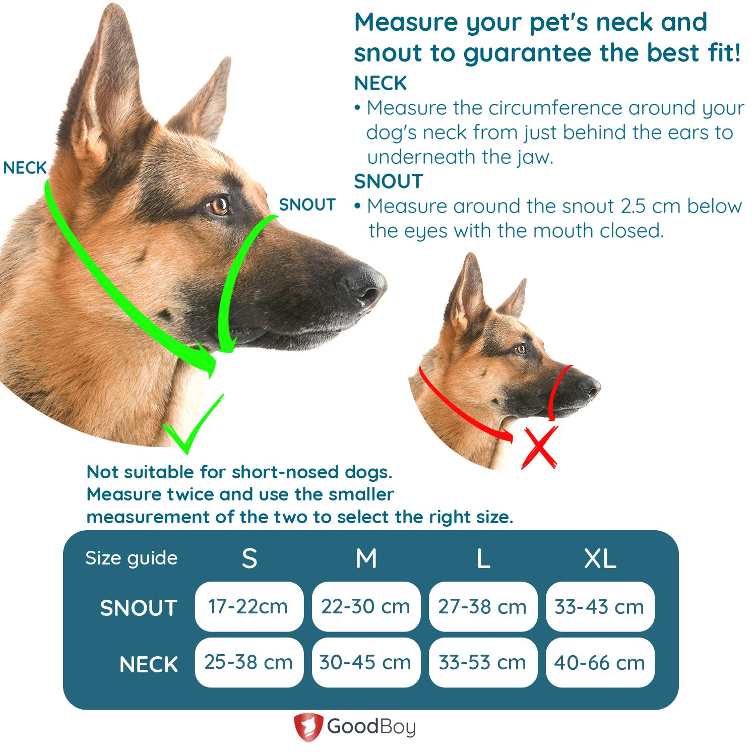 Corner Guards for Dogs: How to Protect Your Home From Nose to Tail Chewing