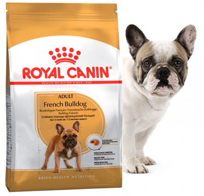 Best Royal Canin Bulldog Foods in 2023: Top 10 Picks for American Bullies