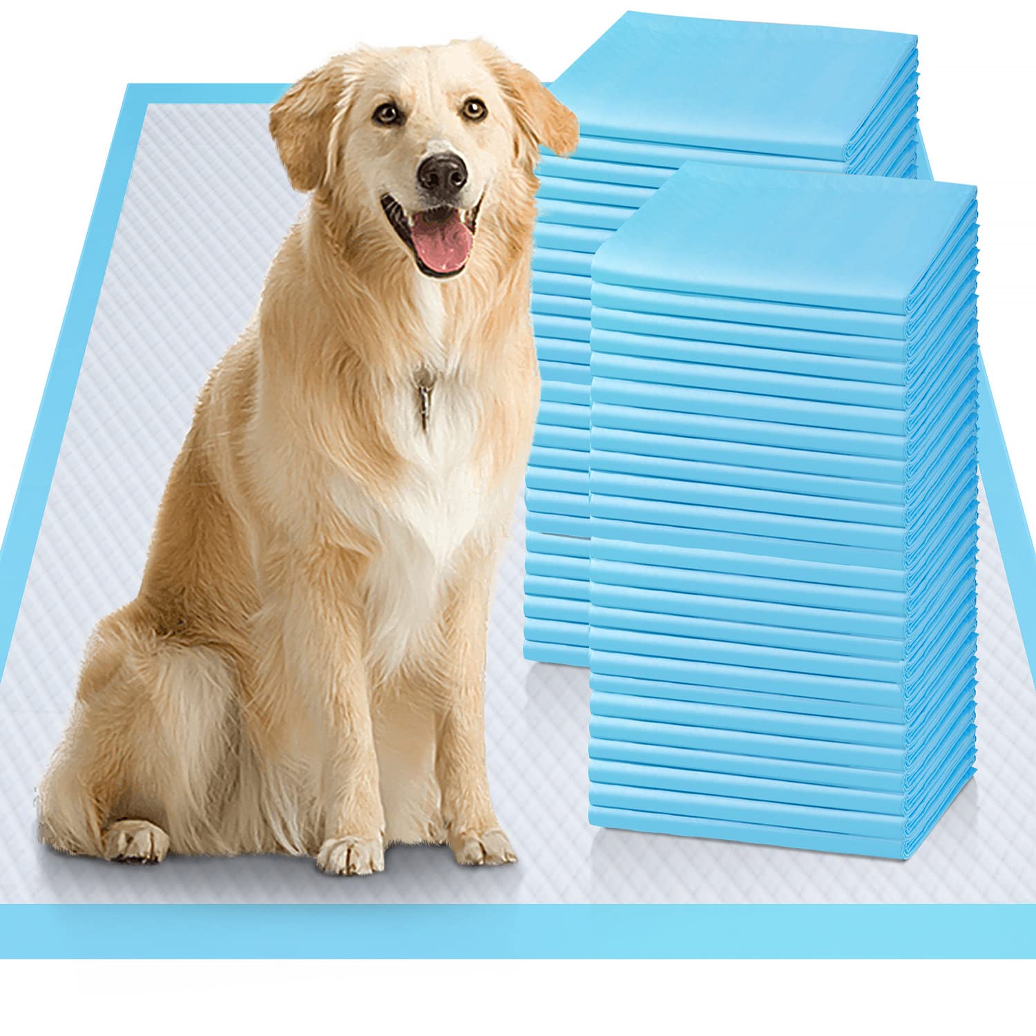 Are These The Best Dog Potty Pads: How 500 23x36 Puppy Pads Changed My Life