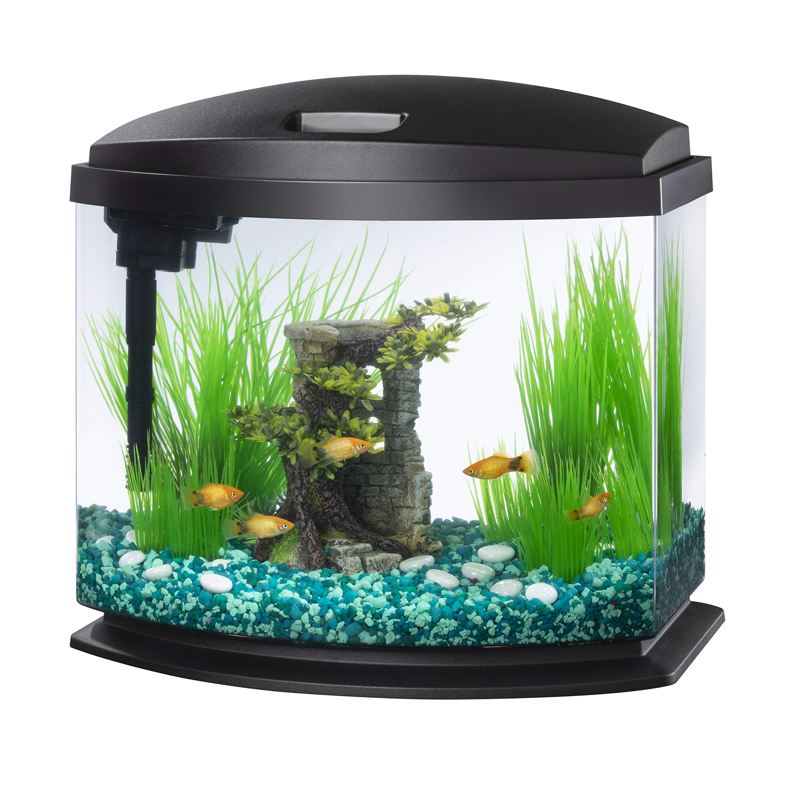 Looking to Buy The Best 10 Gallon Aquarium Kit. Read This First