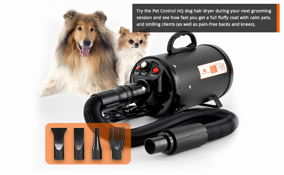 Could This Be The Best Dog Dryer For Your Pooch: Discover The Top-Rated Amzdeal Dog Dryer Now