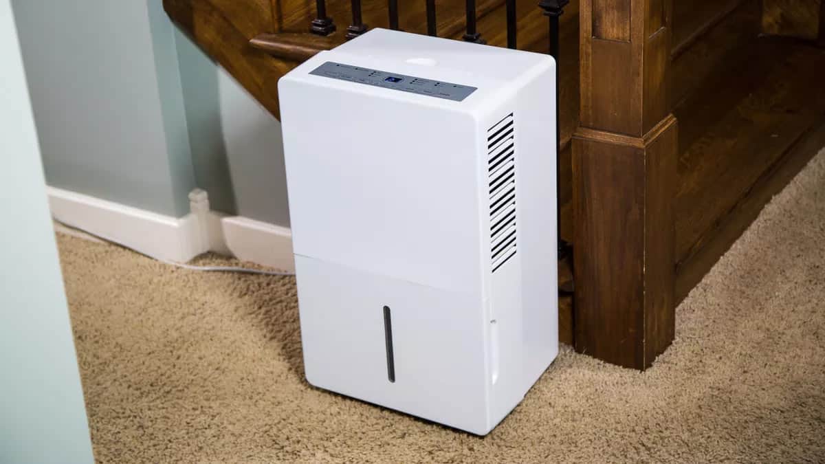 Looking to Buy The Best Honeywell Dehumidifier in 2023. Here are The Top 10 Models to Consider
