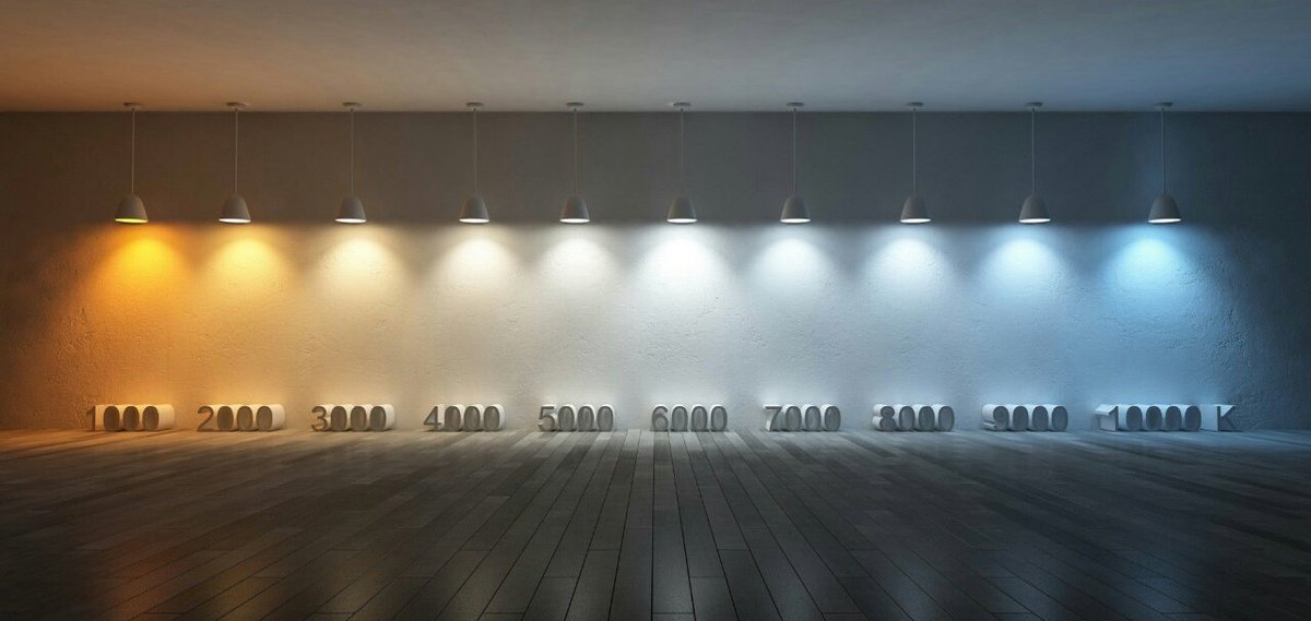 Need Bright yet Energy-Efficient Lighting. Consider These LED Options