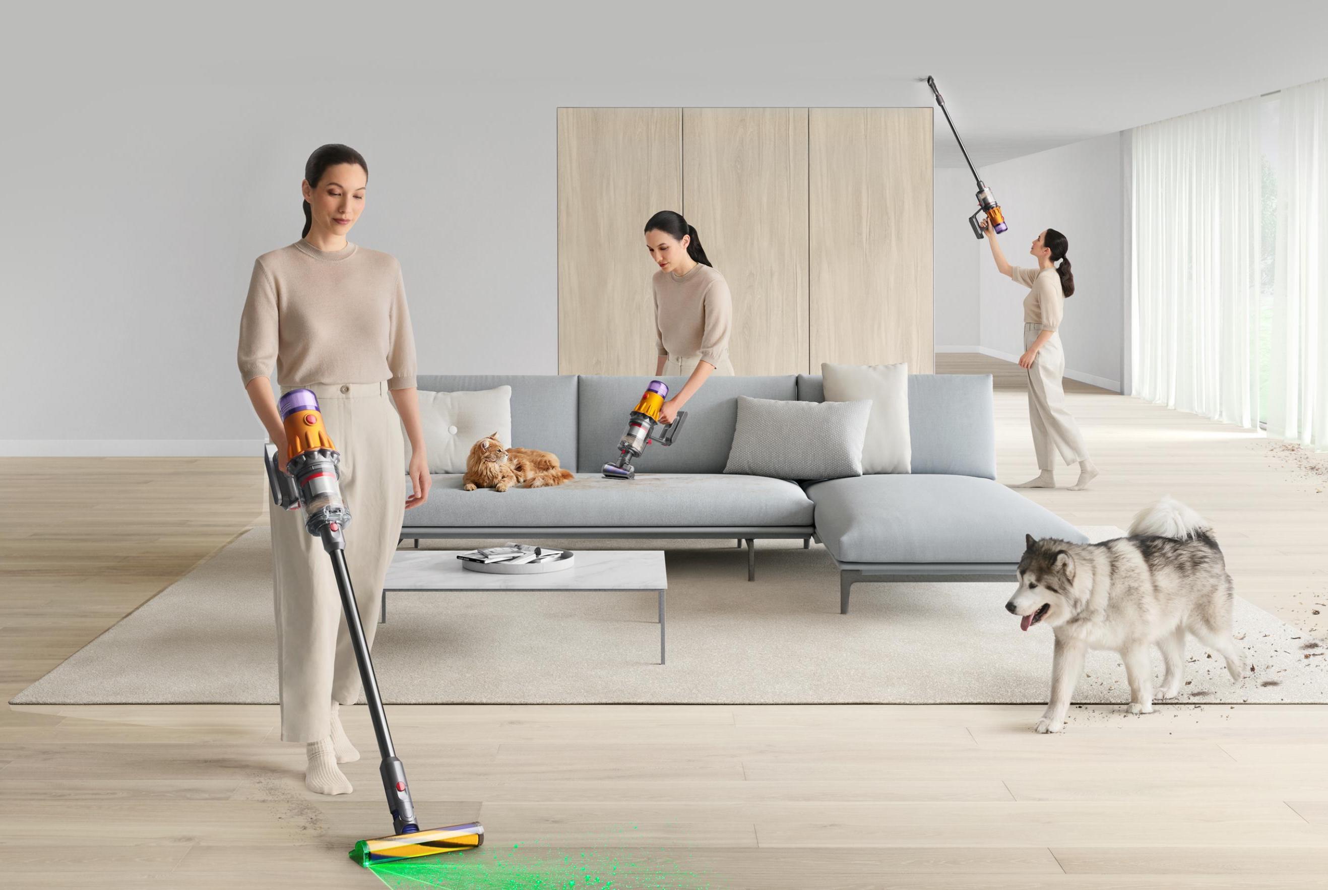 Dyson Vacuums: Which Animal 2 Model Should You Choose