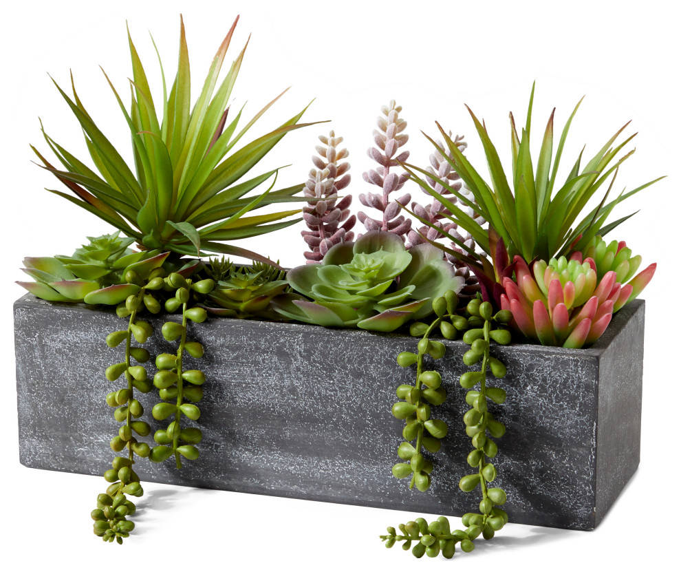Discover New Ways to Style and Arrange Your Rectangle Planters This Year