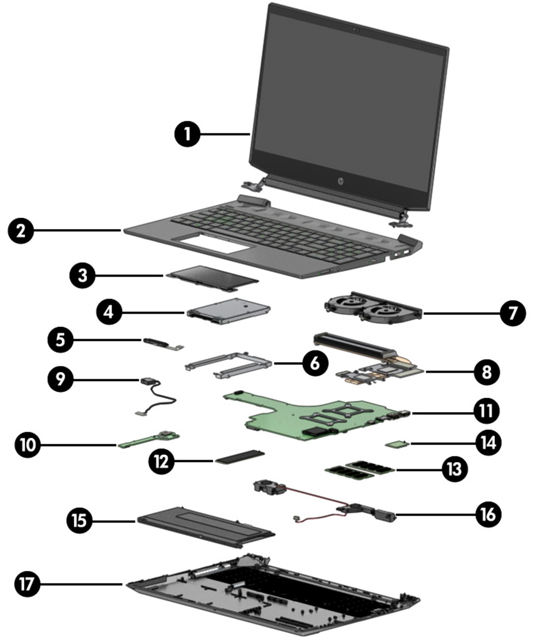 Looking to Buy HP Laptop Parts: Learn How in Just 10 Steps